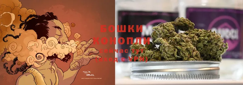 Бошки Шишки Bruce Banner  купить  цена  mega онион  Невинномысск 